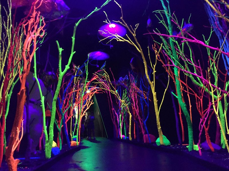 Meow Wolf is an interesting thing to do in Santa Fe